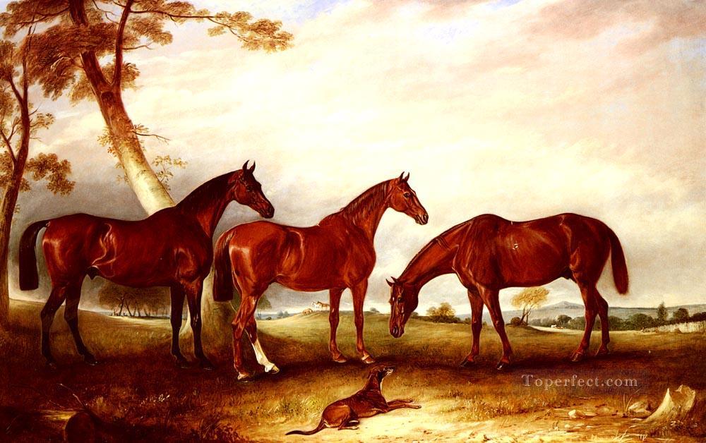 Kingfisher Marvel et le cheval Ladder John Ferneley Snr Peintures à l'huile